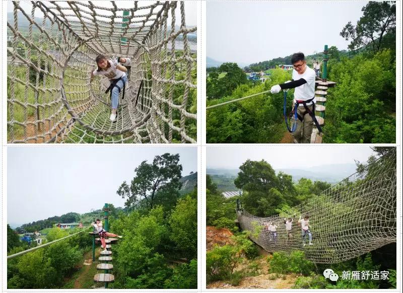 微信图片_20190705094344.jpg